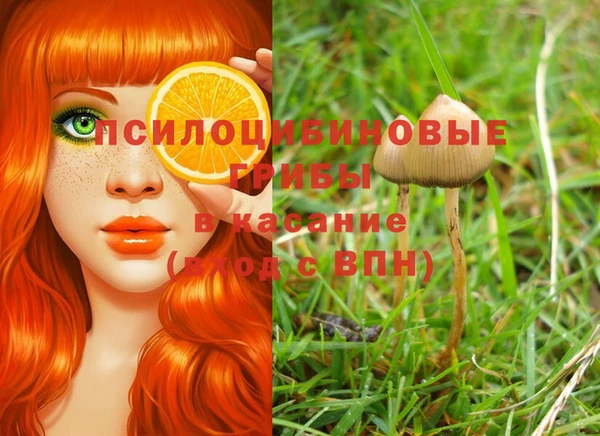 кокаин Приозерск