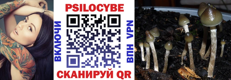 цены   Славгород  Галлюциногенные грибы Cubensis 